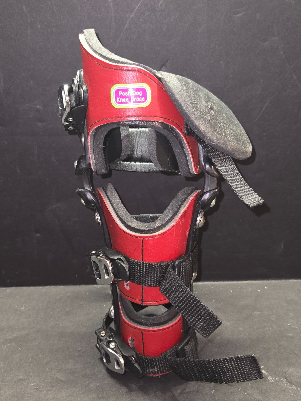 POSH Dog Knee Brace Large Right Leg for ACL, Knee Cap Dislocation