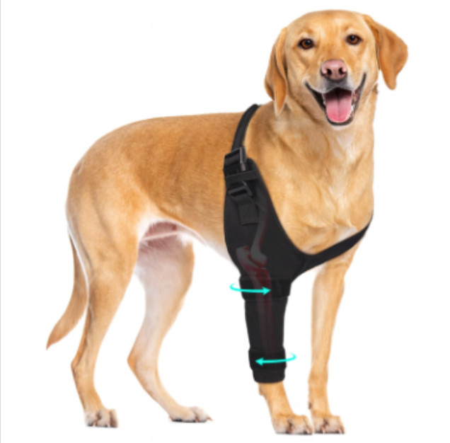 Pawfun Large Dog Elbow Brace Sleeve, Breathable and Adjustable Front Leg Support