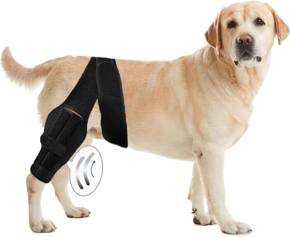 Dog Knee Brace for Torn ACL Hind Leg, & Rear Leg Knee Support [Size L]