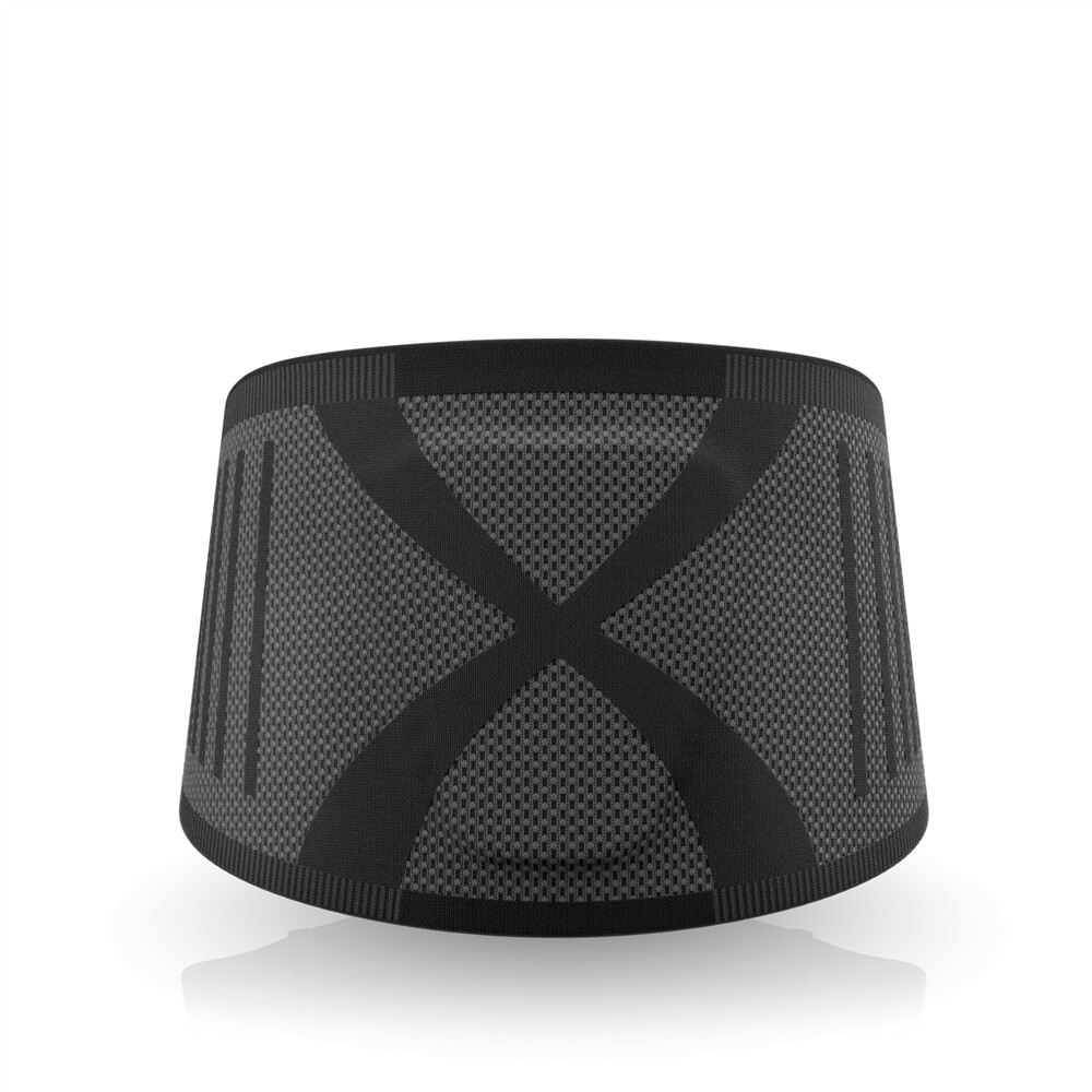 Actimov LumbaMotion Back Support with Pressure Pad