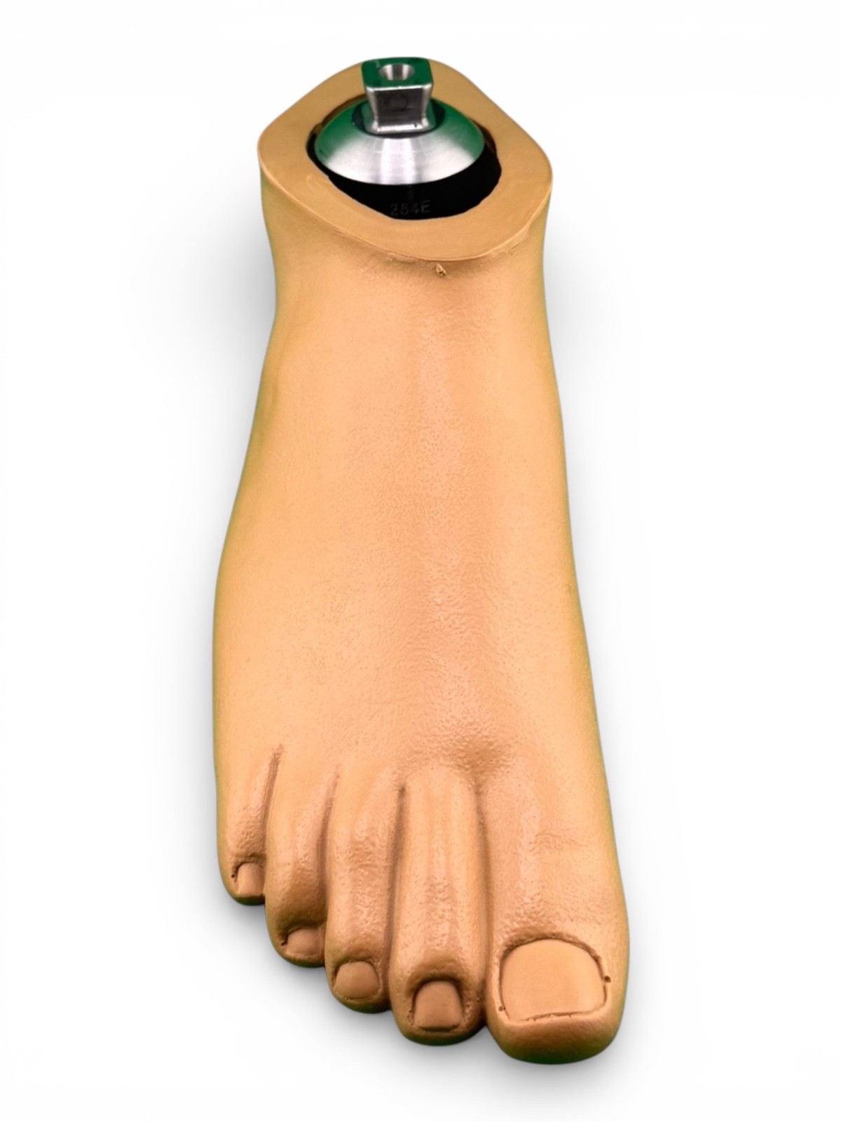 Ohio willow wood sach prosthetic foot. size 26, right. Great Condition.