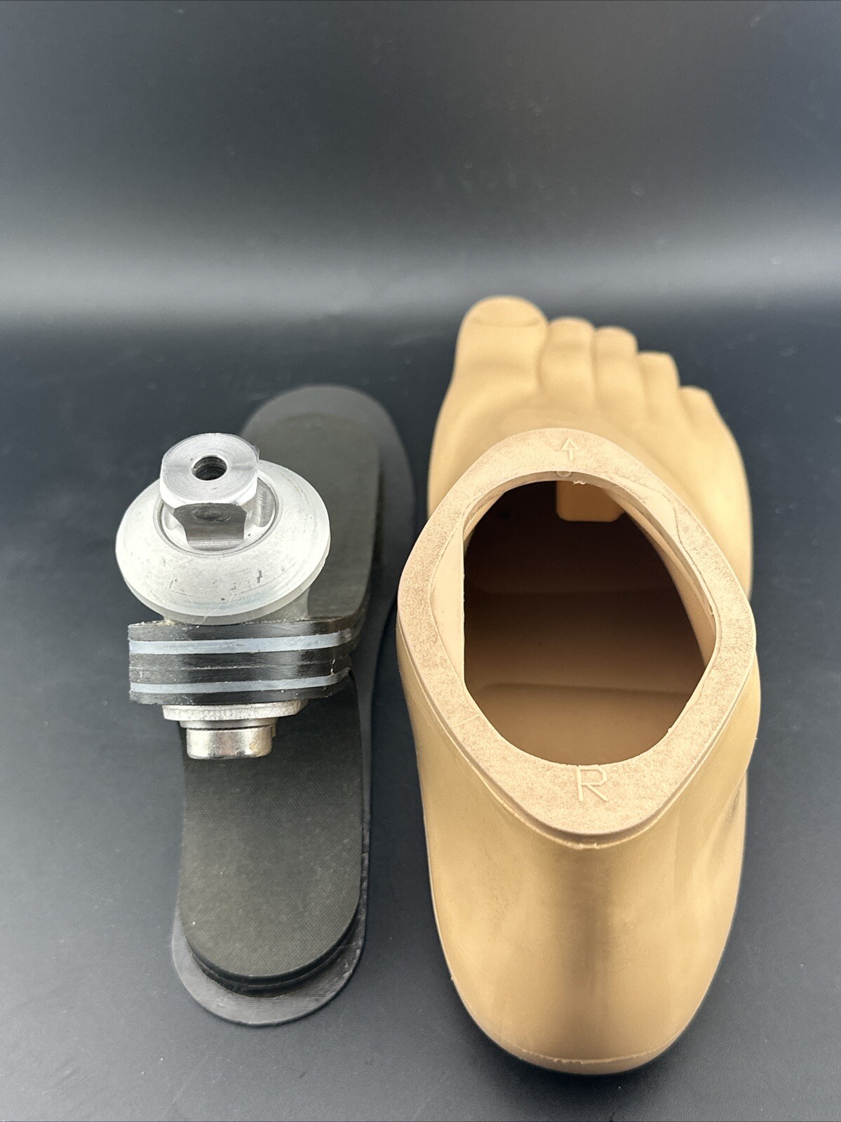 OTTOBOCK Otto Bock Trias Prosthetic Foot Size 24. Category 1 1c30 Right Perfect