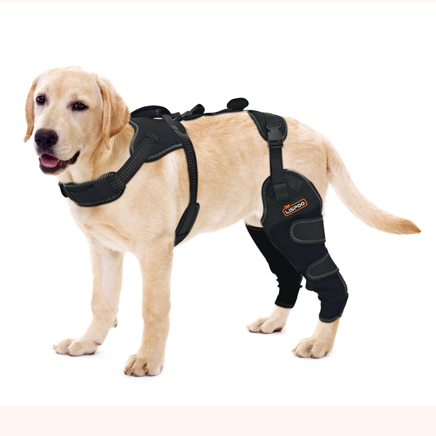 Dog ACL Knee Brace for Arthritis & Patellar Luxation – Hind Leg Support