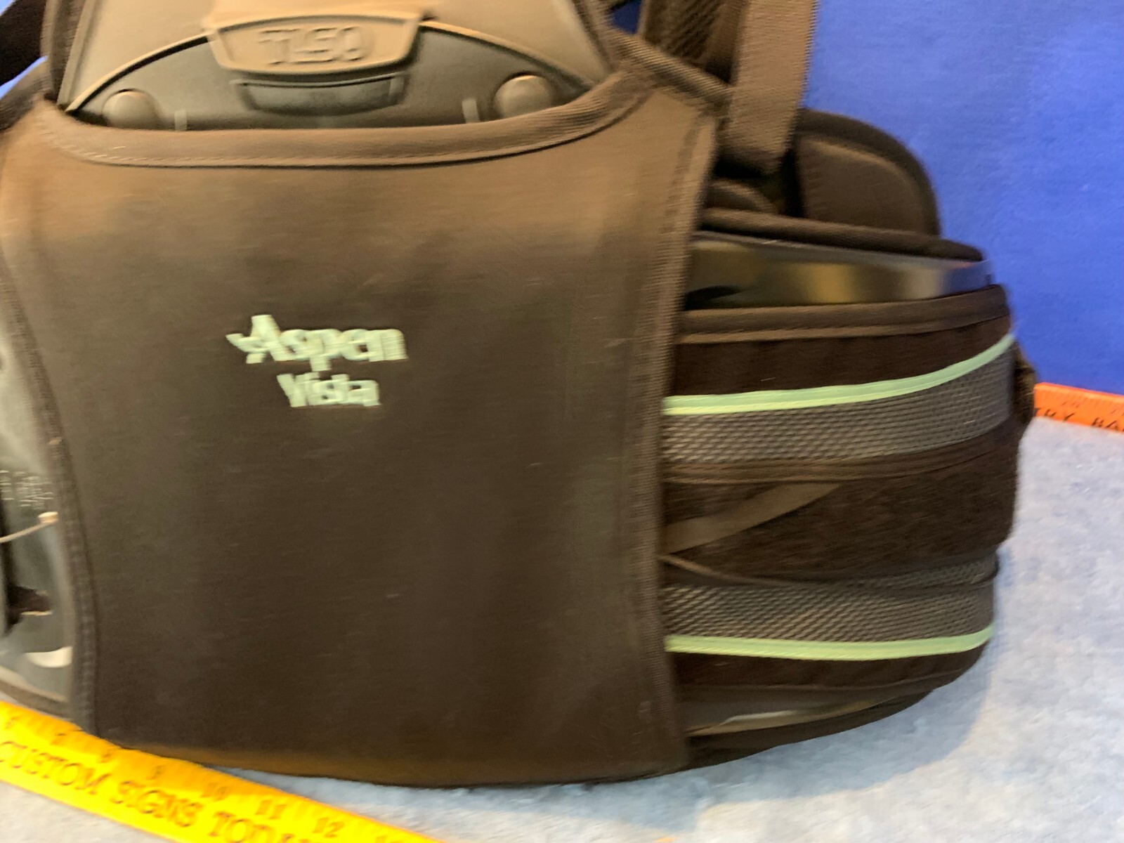 Aspen Vista Back Brace TLSO size Large