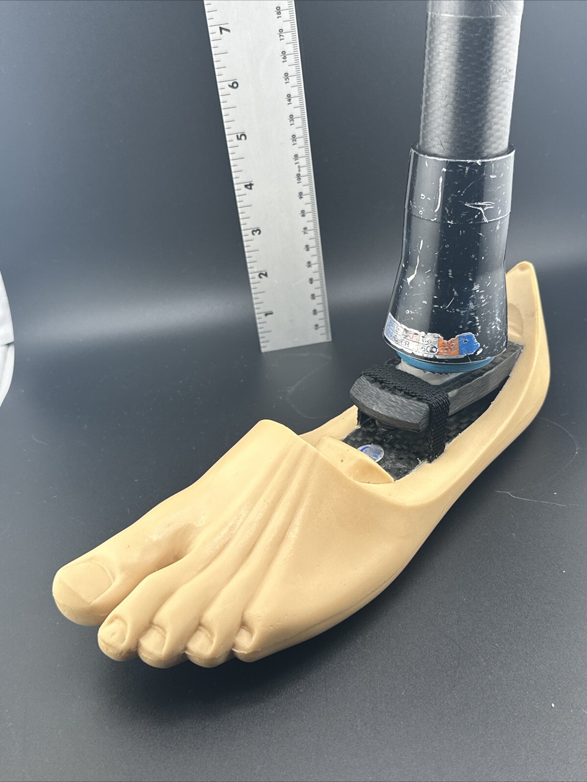 Blatchford Endolite Left Dr2 W/ Multiflex Ankle Prosthetic Foot. Left Size 26