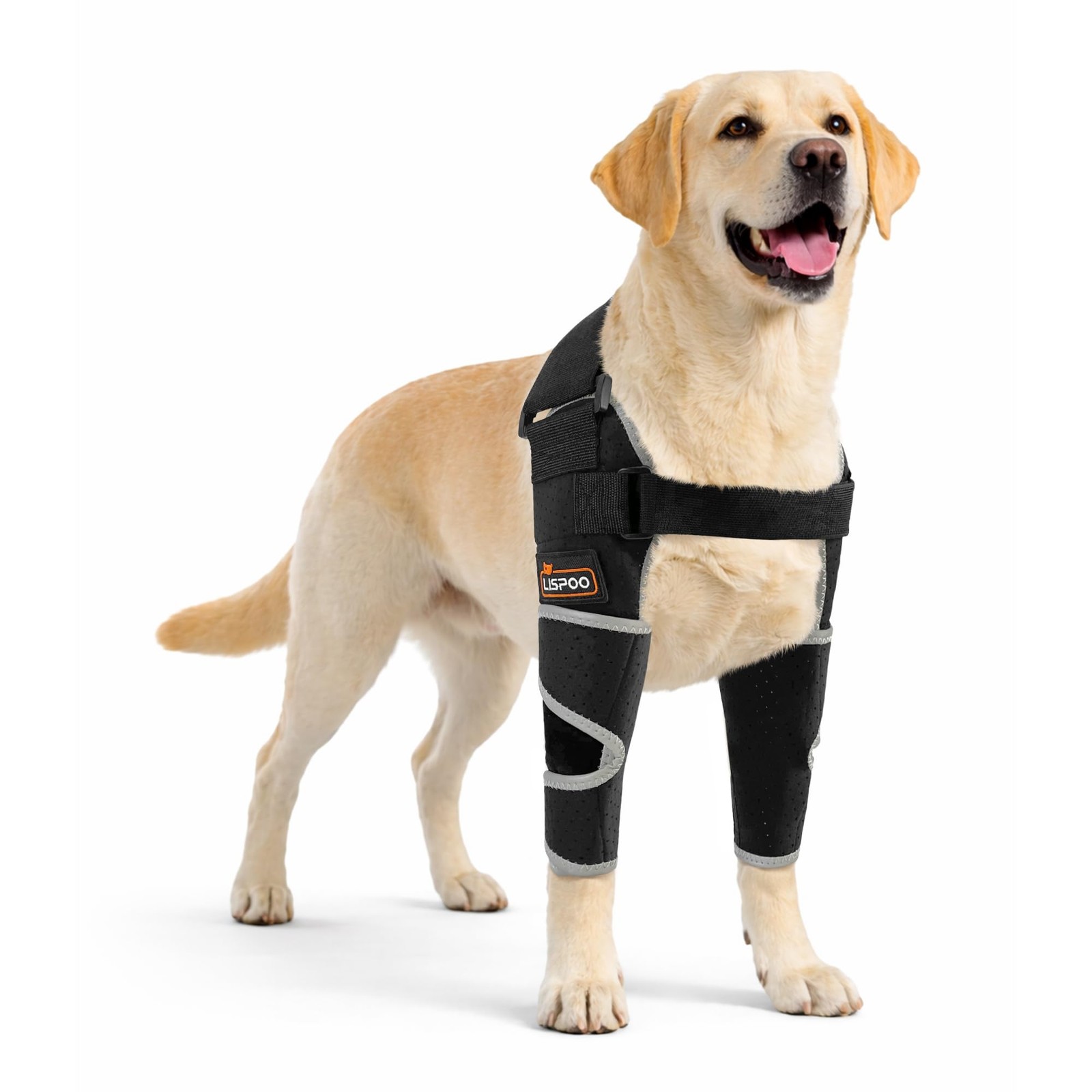 LISPOO Dog Elbow Brace for Both Front Legs, Anti Licking Front Elbow Protecto…