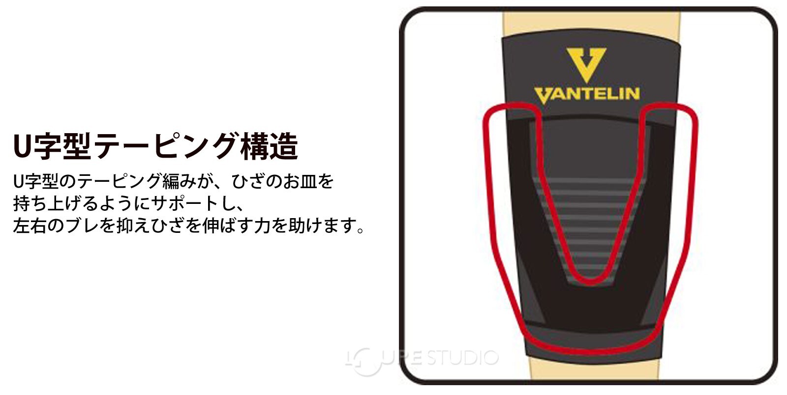 VANTELINE Knee Supporter,use both left and right,SIZE LL ・L・M・S , Made in Japan