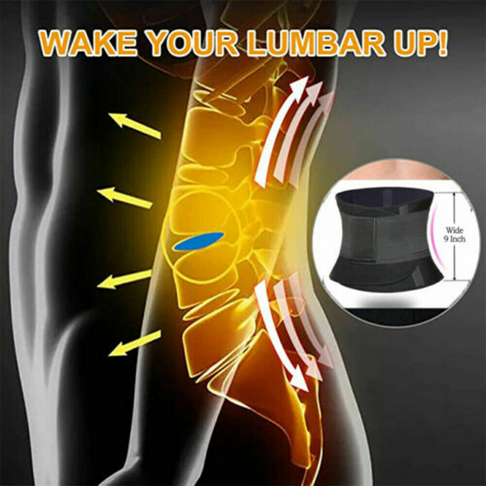Lower Back Pain Brace Lumbar Support Waist Belt Scoliosis Work Gym For Men Women