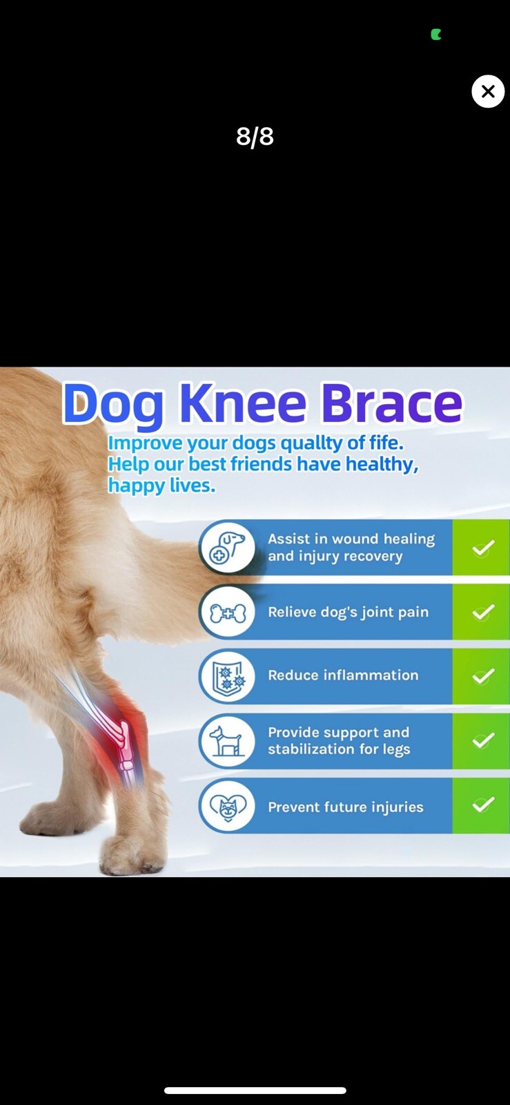 M Dog Knee Brace For Torn ACL Hind Leg For Support With Cruciate Ligament Injury