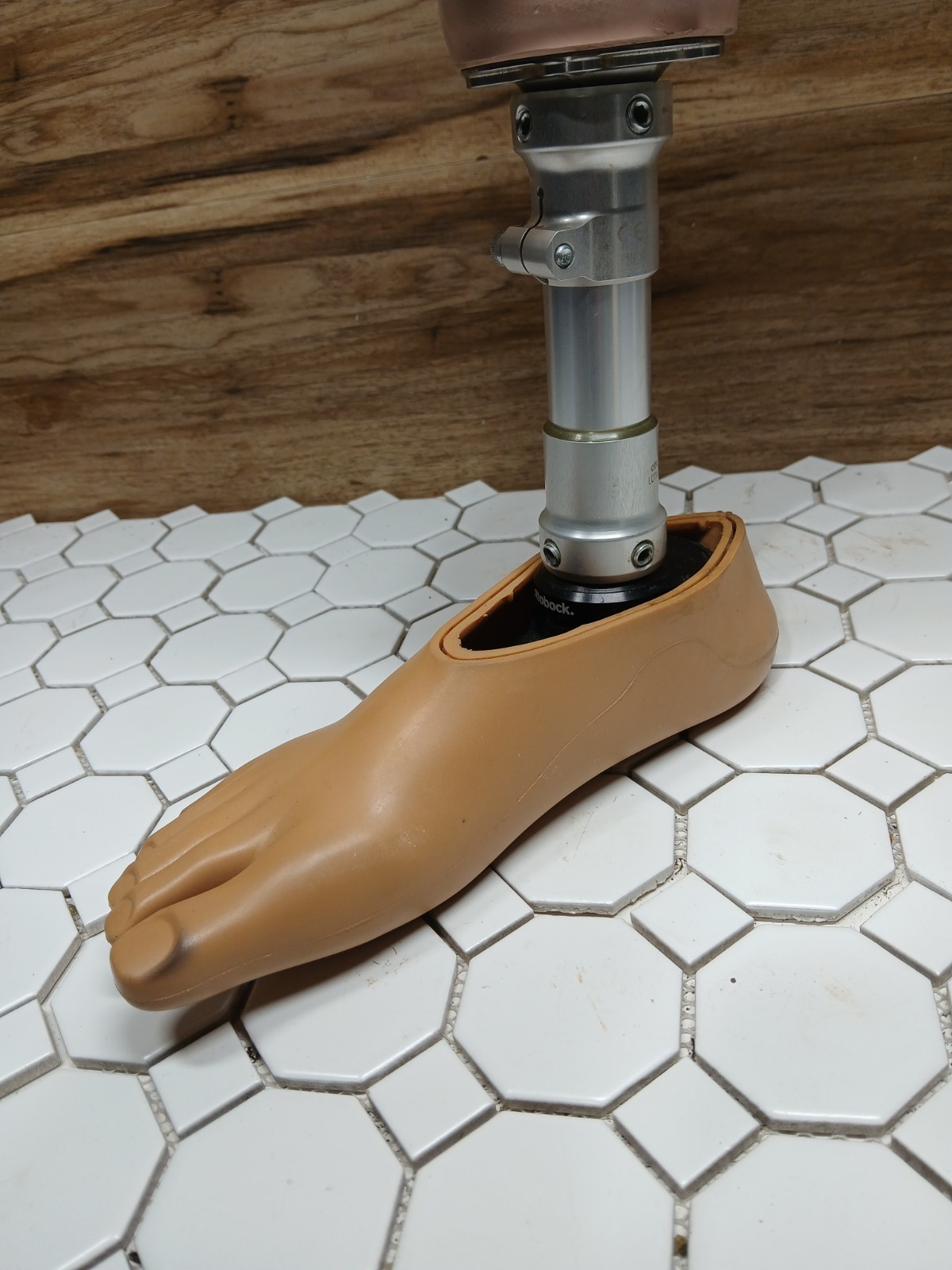 Ottobock 4r69 Prosthetic Foot Right To Knee (below Knee) R24/4N Foot