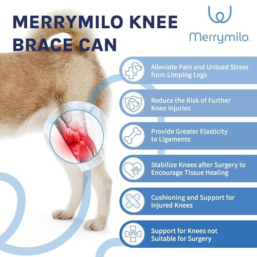 MERRYMILO DOG KNEE BRACE,ACL,CCL,CRUCIATE LIGAMENT, SIZE: S – SILVER