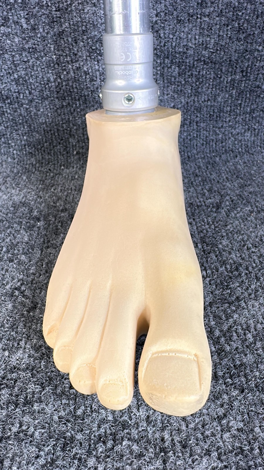 Ottobock Titan Right Below Knee Prosthetic Leg Size 28 Used