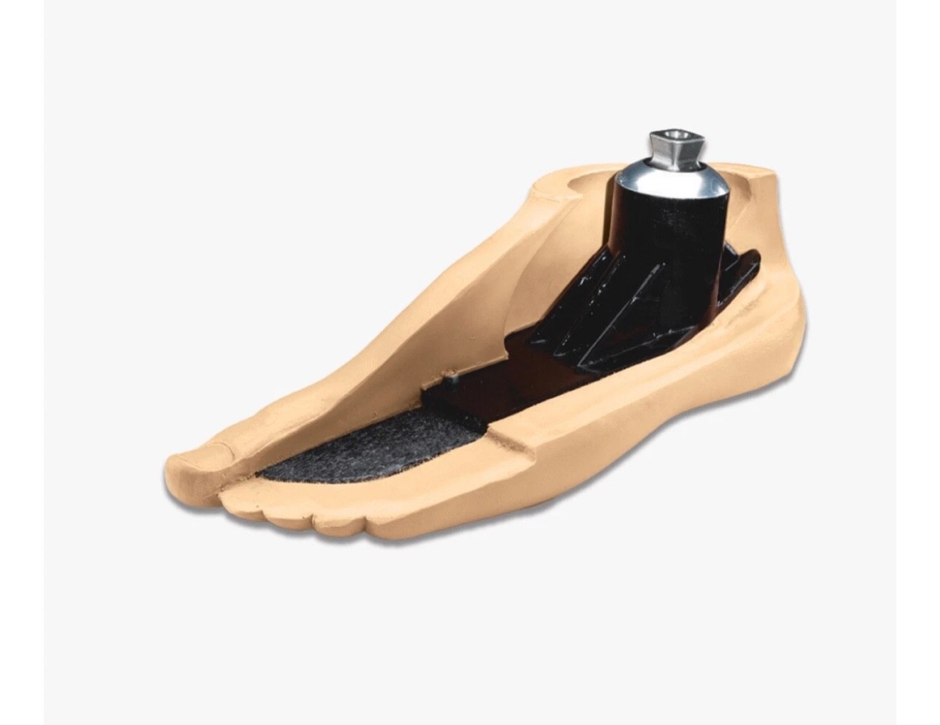 Ohio willow wood sachProsthetic foot. size 22, Left. Great Condition.