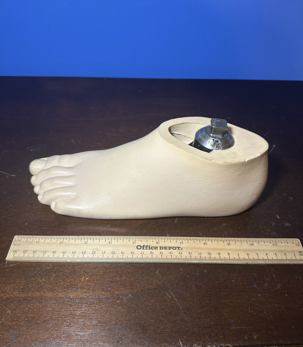 OWW Magnum Prosthetic Left Foot Molded Shell Heavy Duty WillowWood 29 10
