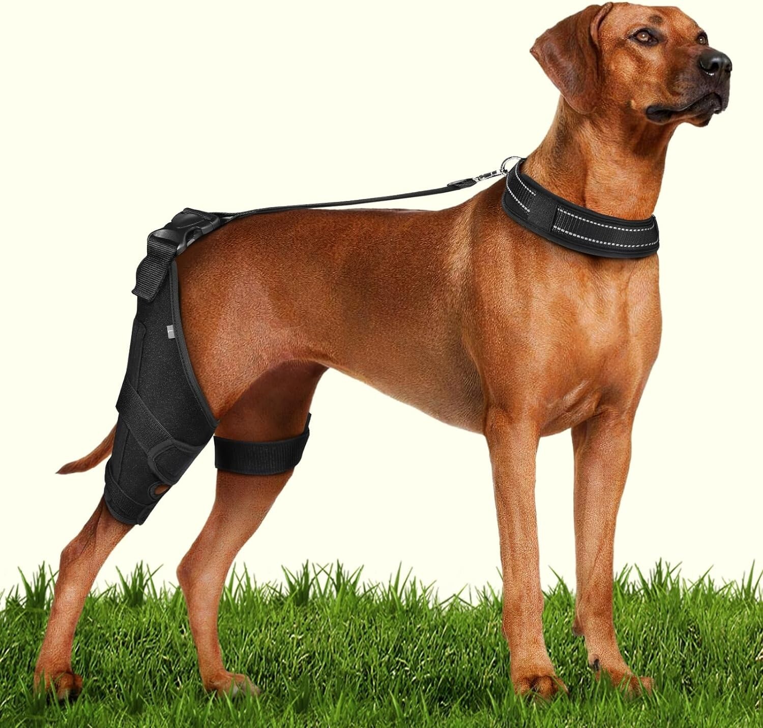 2X Support Dog Knee Brace with Metal Strips for Joint Pain Relief, Dog Leg Brace