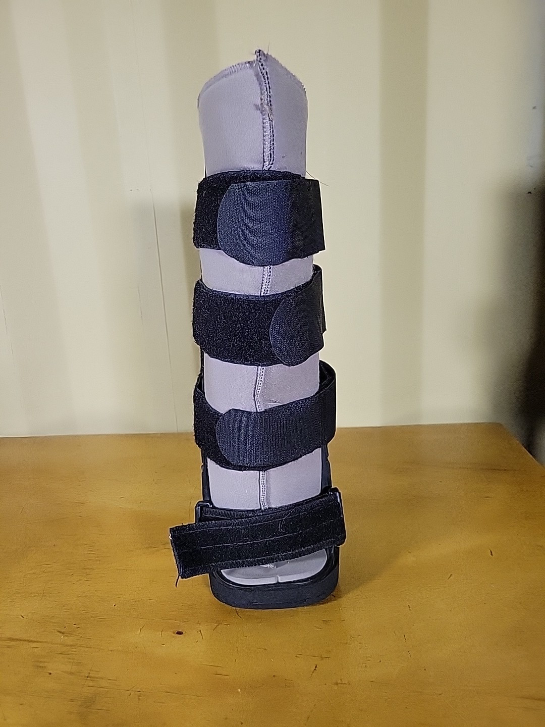 Pacesetter II Tall Walker Medium/Large Gray