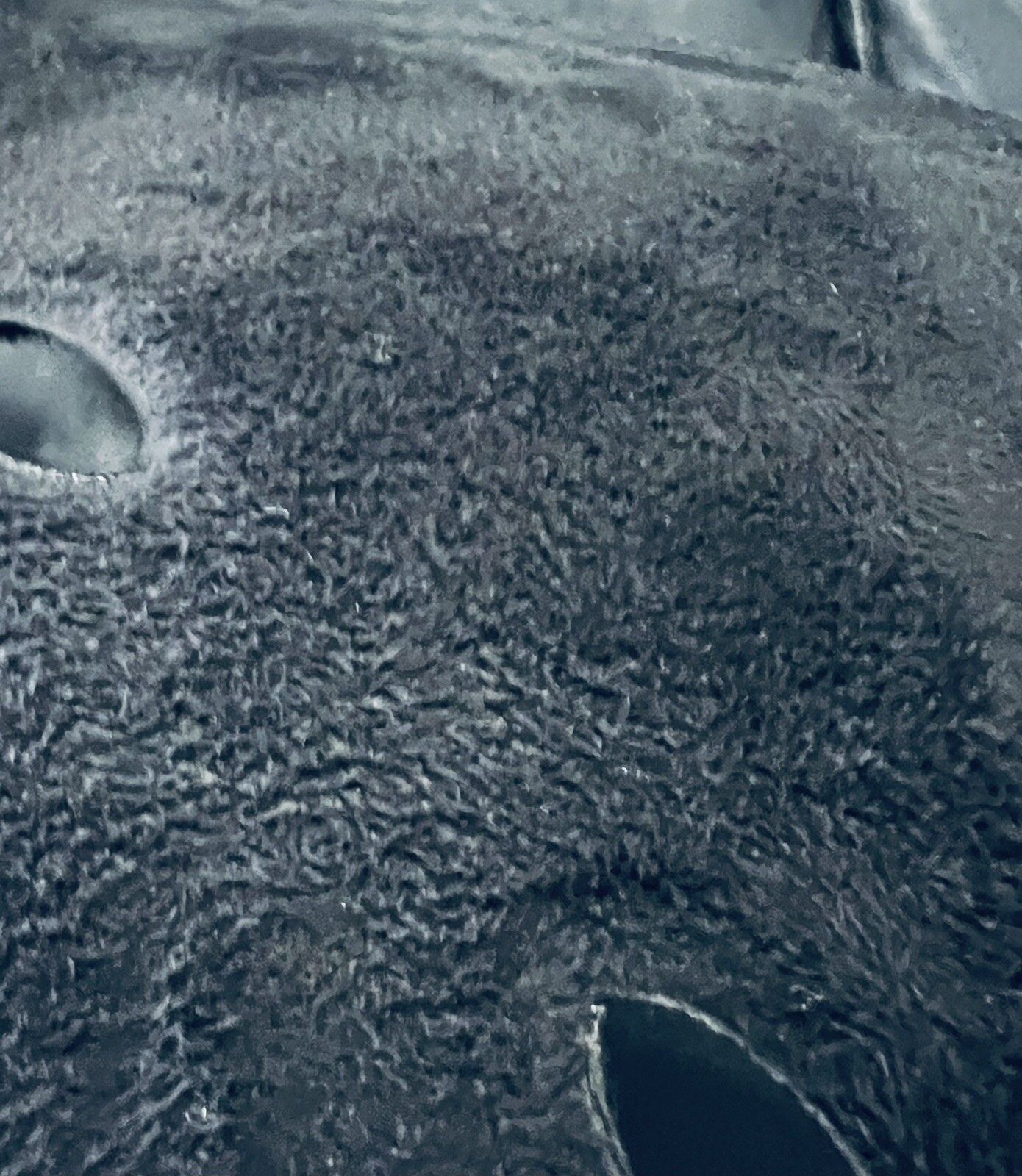 BackJoy Core Traction Plus Memory Form Posture Support Cushion