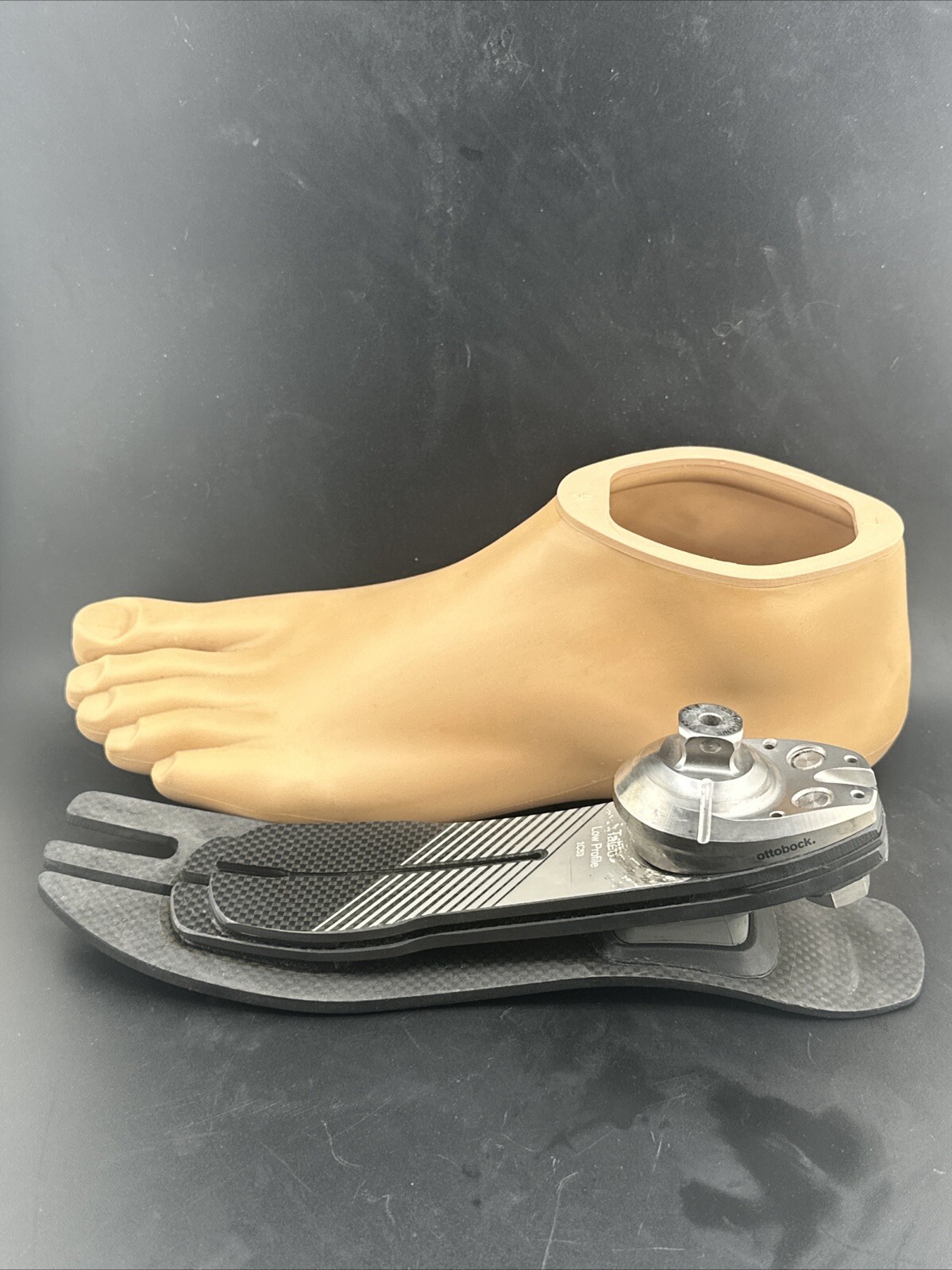 Ottobock Otto Bock Taleo LP 1C53 Prosthetic Foot. Size 28. Category 8. Left