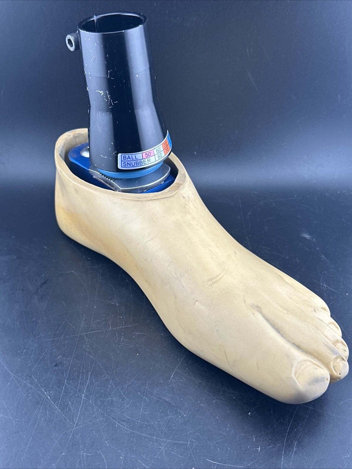 Endolite Blatchford Multiflex Multi-flex Style Prosthetic Foot.