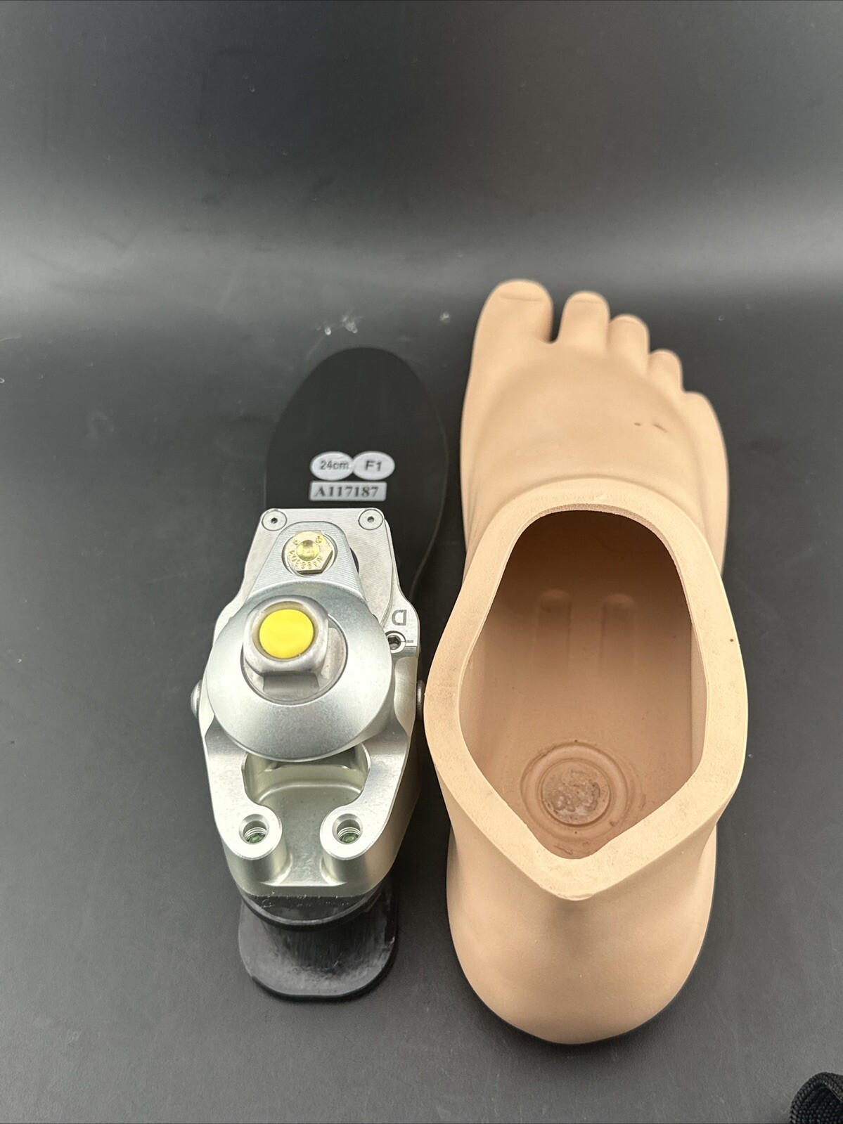 College Park K2 Odyssey Hydraulic Ankle Prosthetic Foot, Right Shell, Size 24