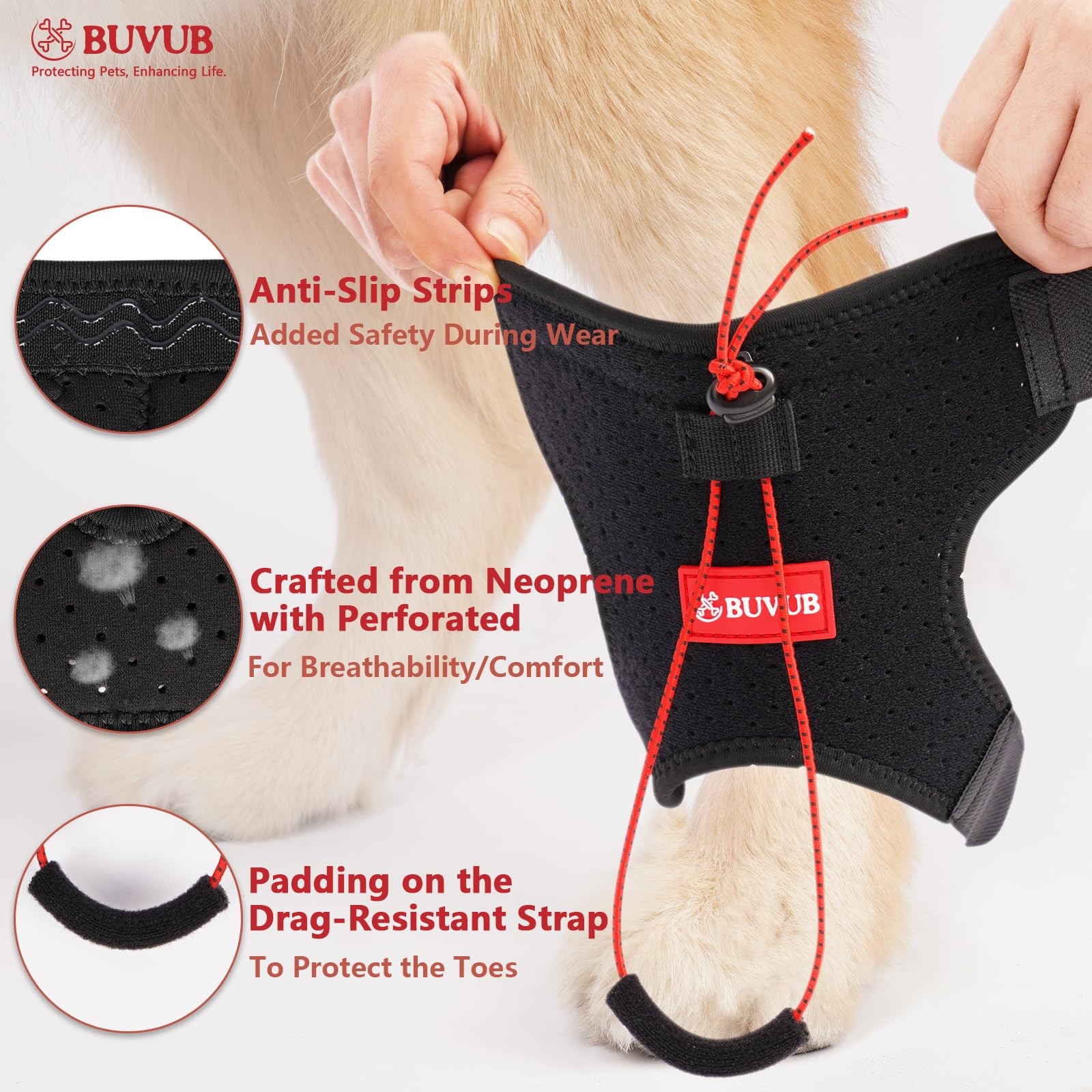BUVUB Dog Knuckling Brace Small 1PCS