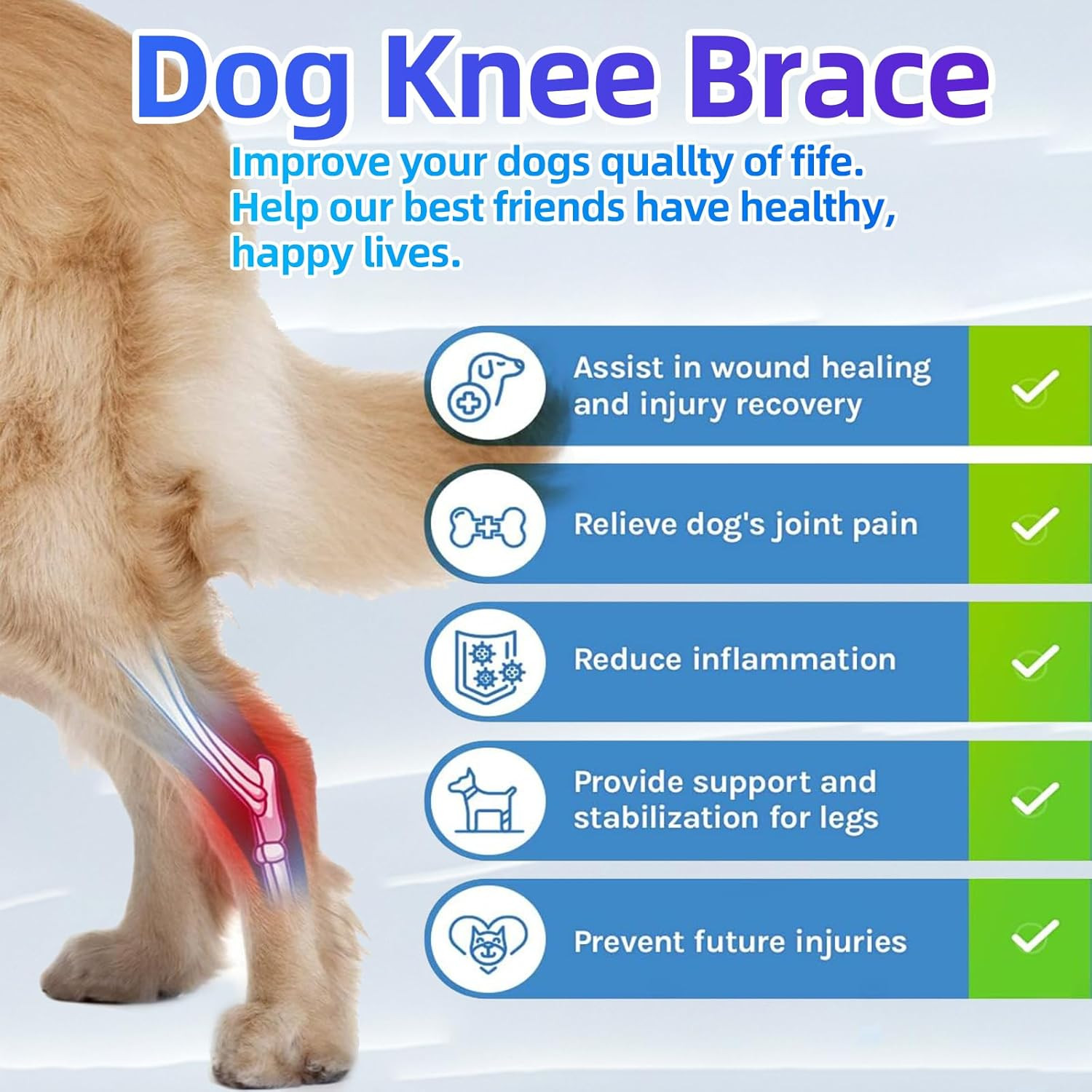 M Dog Knee Brace for Torn Acl Hind Leg for Support with Cruciate Ligament Injury