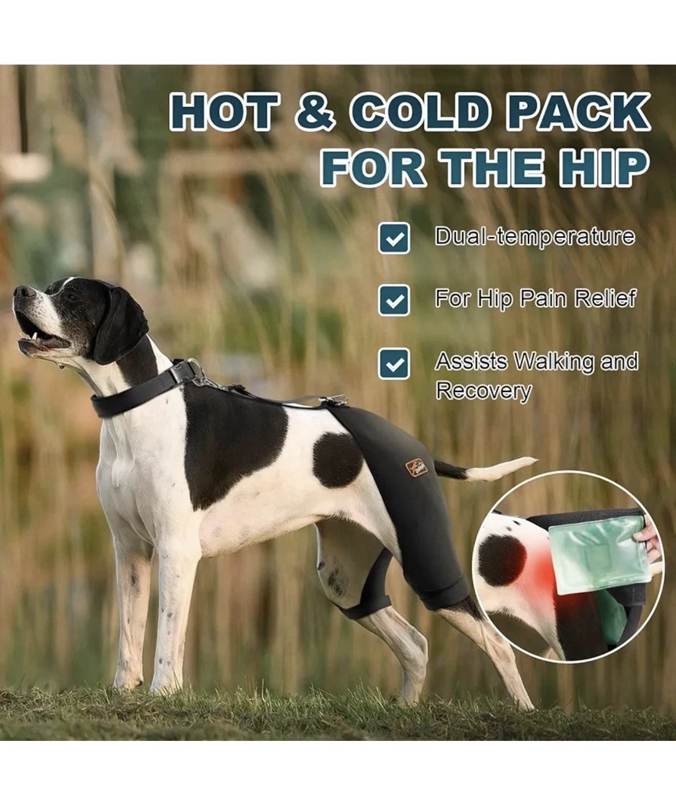 Dog Hip Brace with Hot/Cold Compress for Hip Dysplasia, Arthritis Male Large