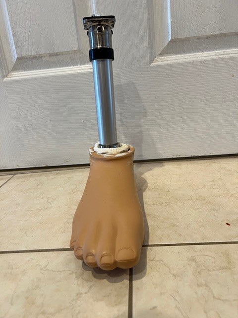 Otto Bock Titan Prosthetic Right Leg Below Knee w/Foot Size 29 American Eagle X2