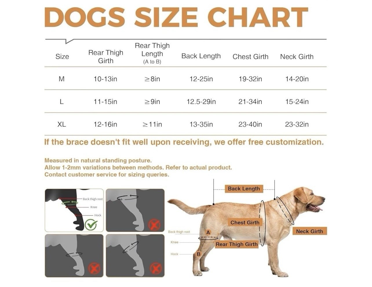 Dog Knee Brace for Torn ACL/CCL Hind Leg,Adjustable Support with Sufficient