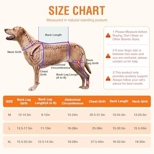 Adjustable Dog Knee Brace for Back Leg Support – Breathable ACL Wrap with Hot/Co