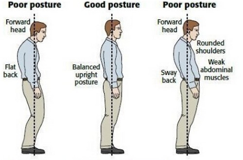 Adjustable Therapy Postural Posture Correction Corrective Support Belt Brace NEW