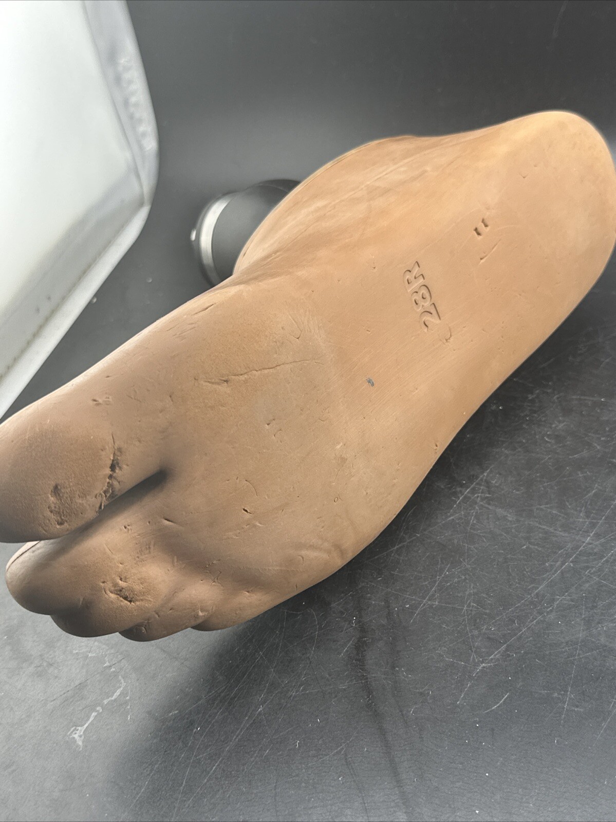 ossur pro-flex Lp Torsion prosthetic foot Size 28 category 8 Right Shell Ripped