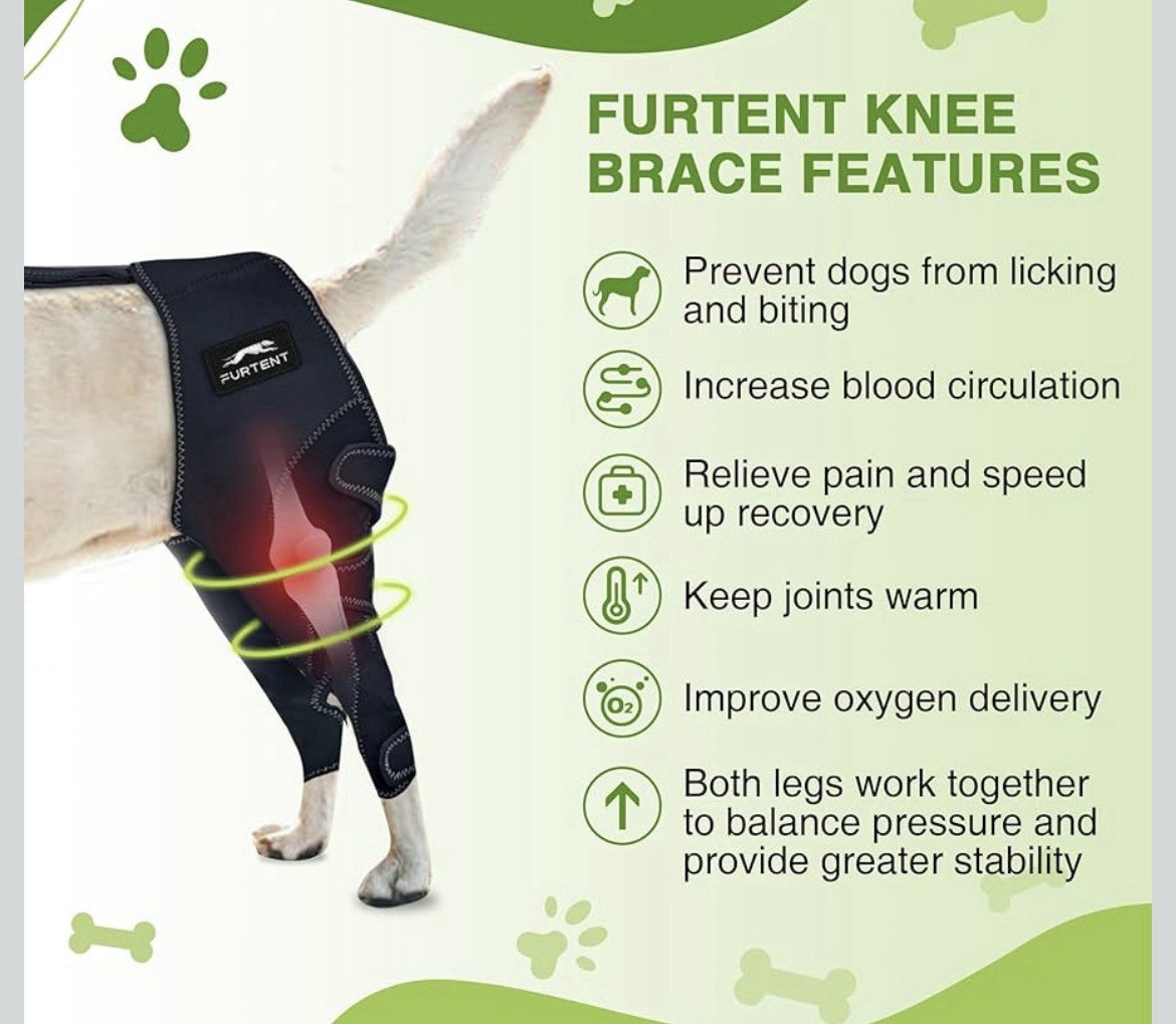 Dog Knee Brace Cruciate Ligament Injuries ACL Dog Rear Leg Wrap Medium Harness