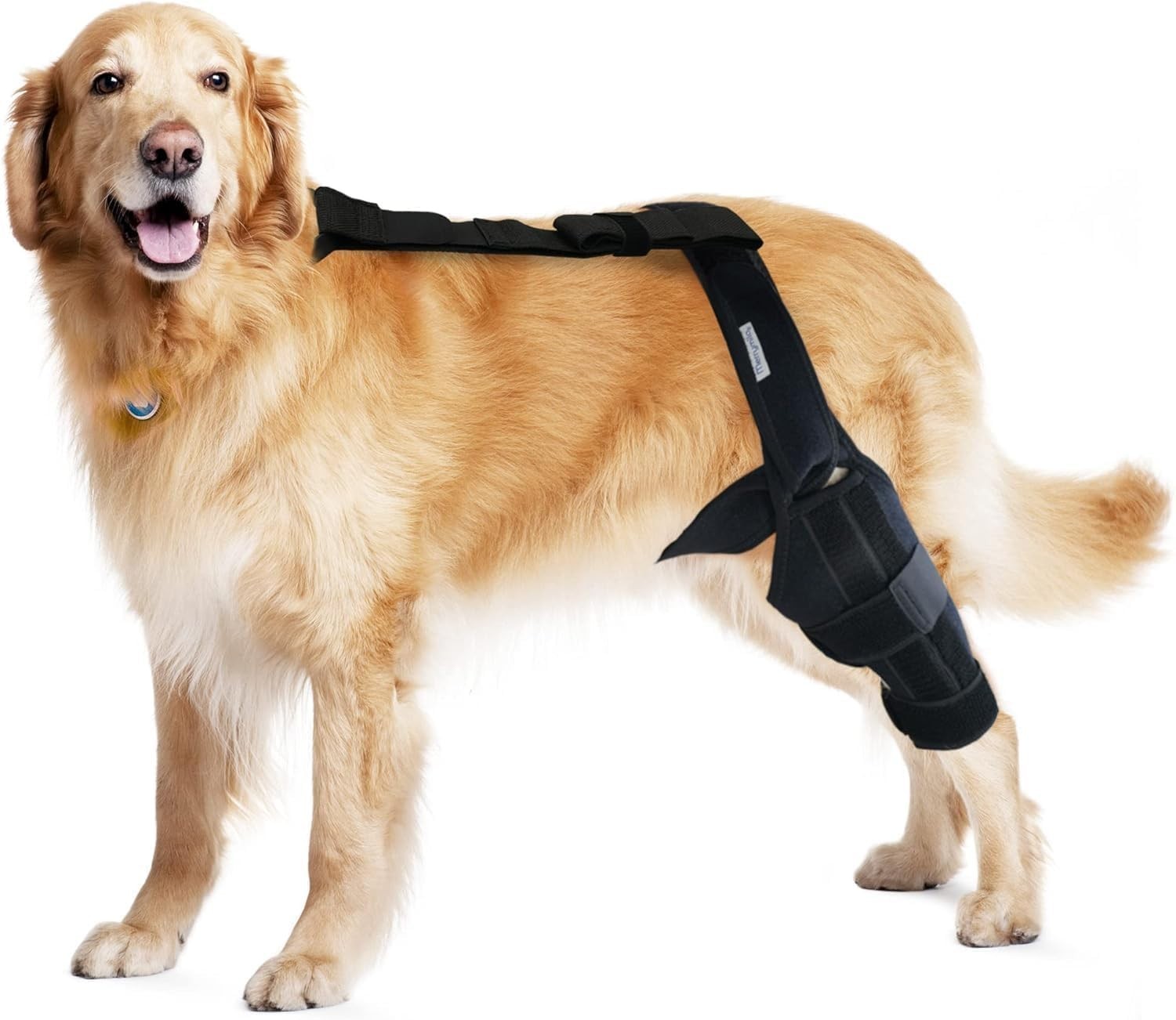 Dog Knee Brace for Torn ACL Hind Leg – Black, Large