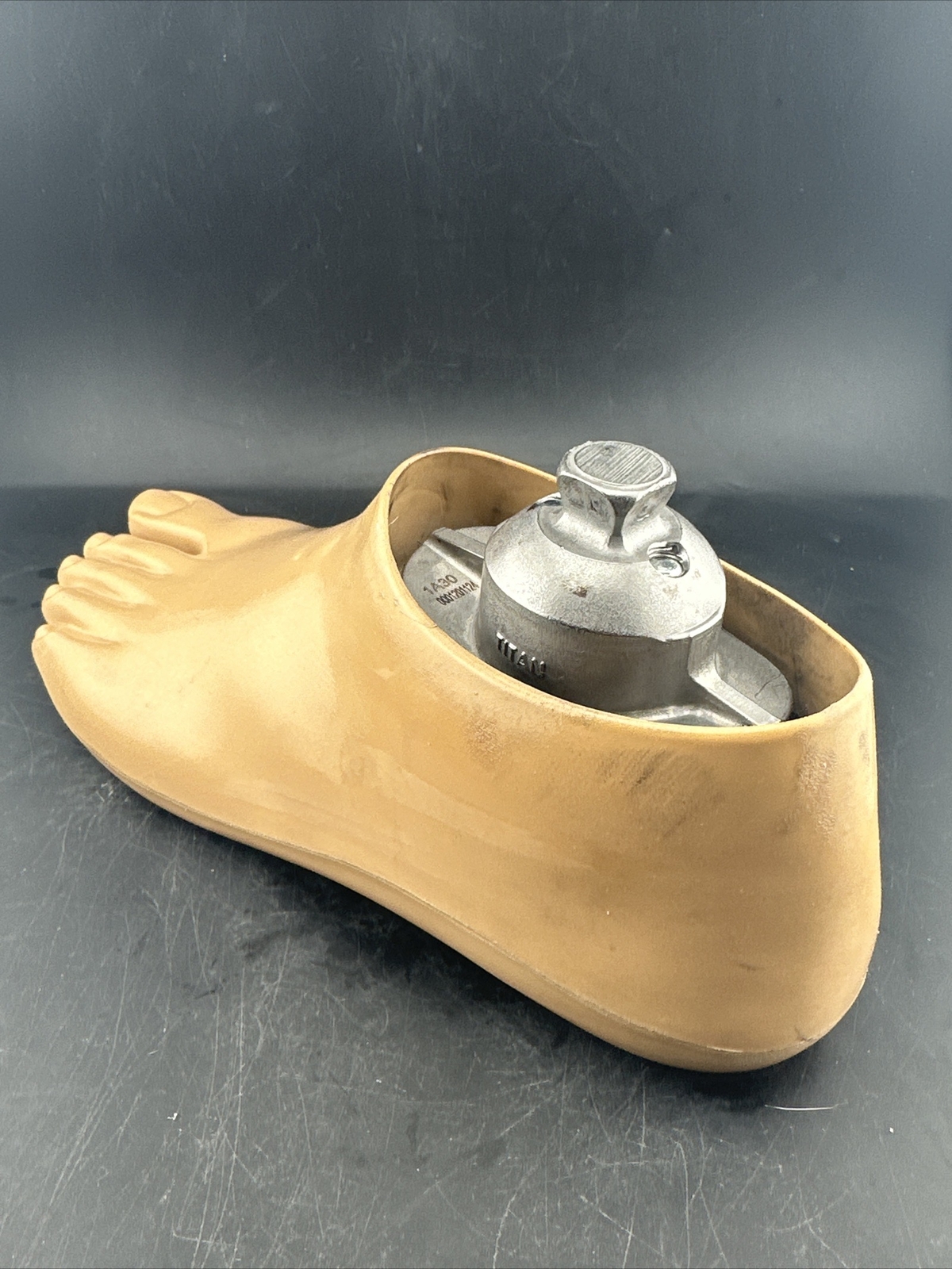 OTTOBOCK Otto Bock Greissinger Plus Prosthetic Foot. Left Size 25 1A30