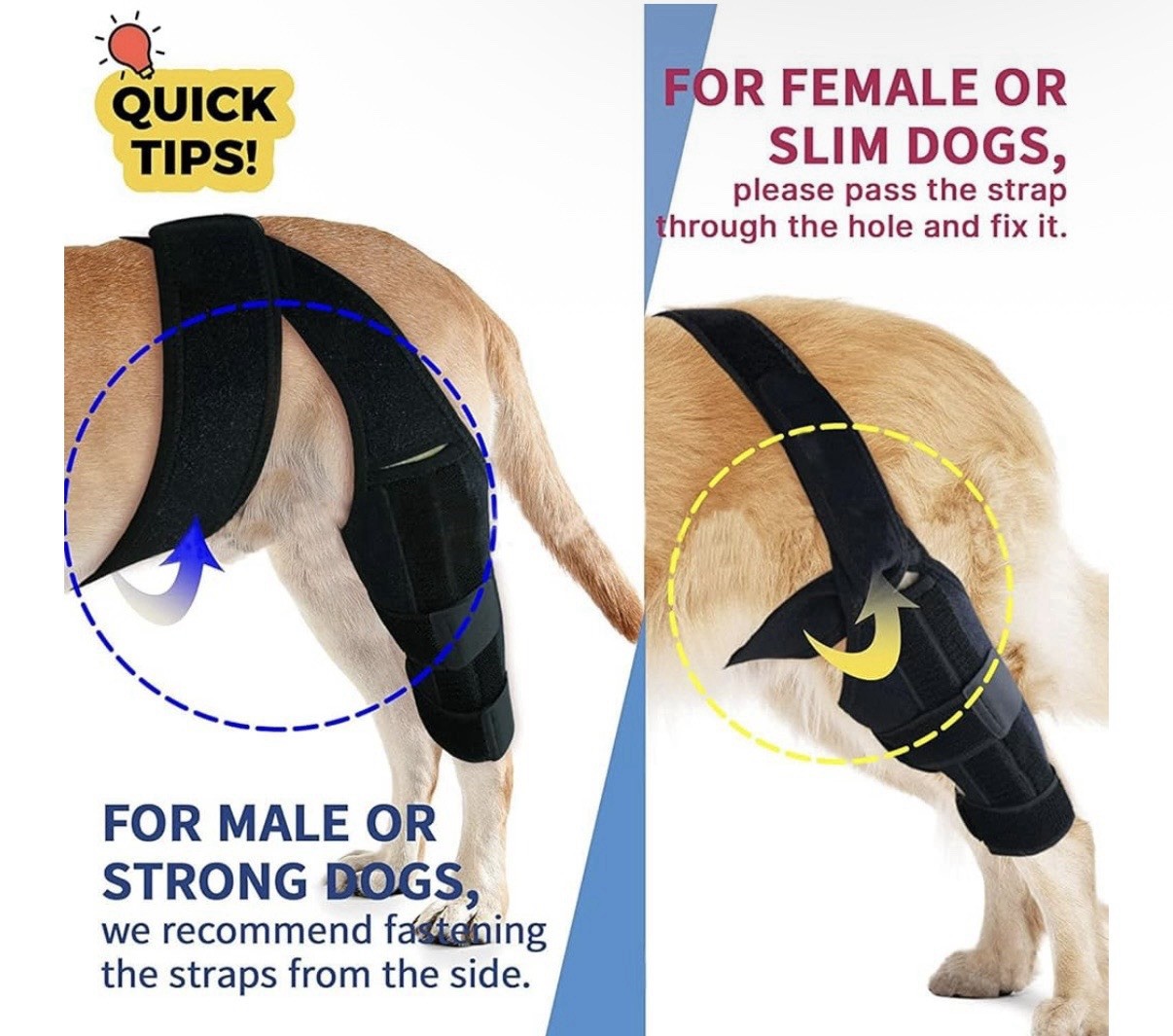 M Dog Knee Brace Torn ACL Luxating Patella & Arthritis Adjustable Hind Leg