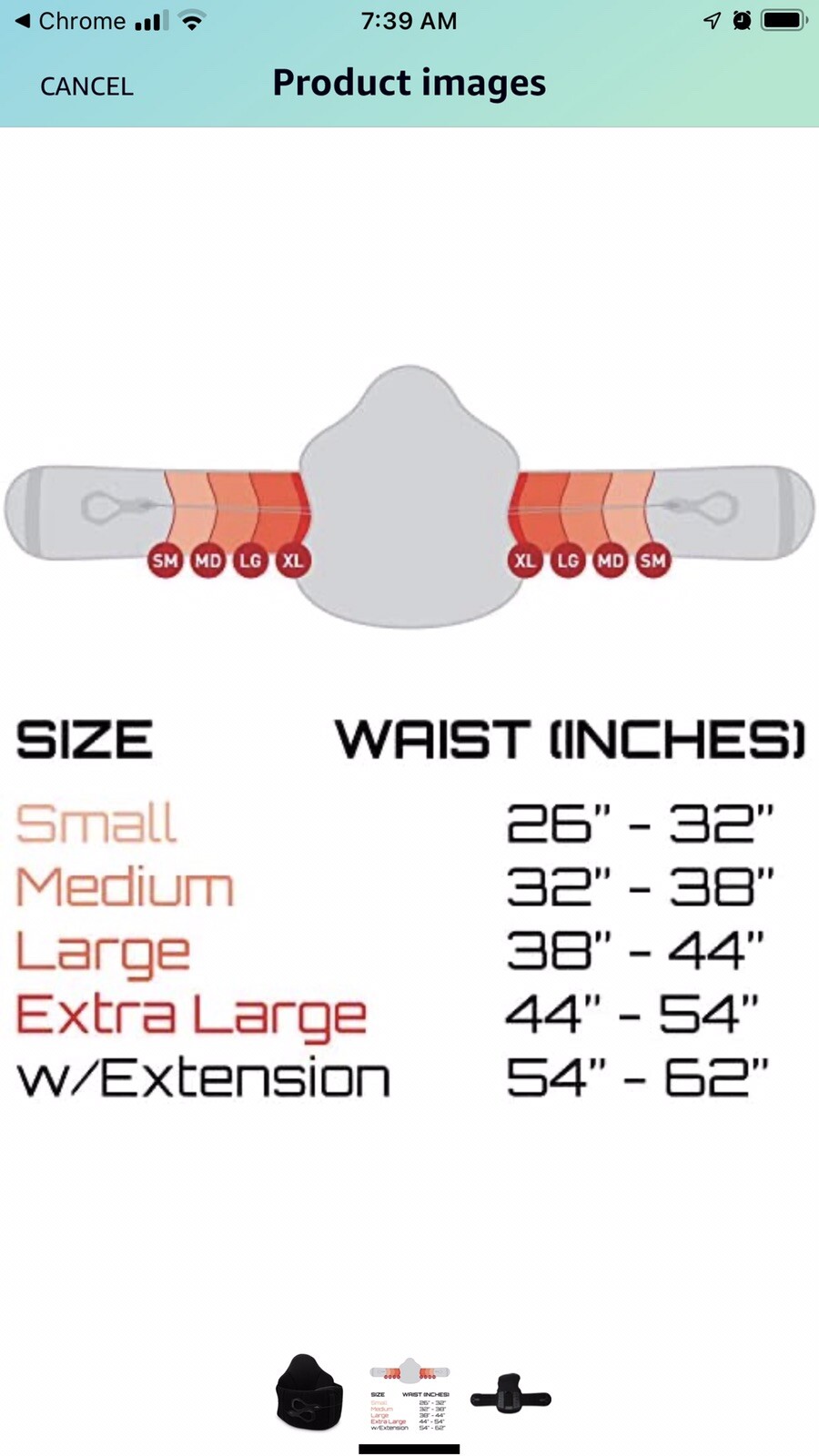 CINCH BRACE Back Brace