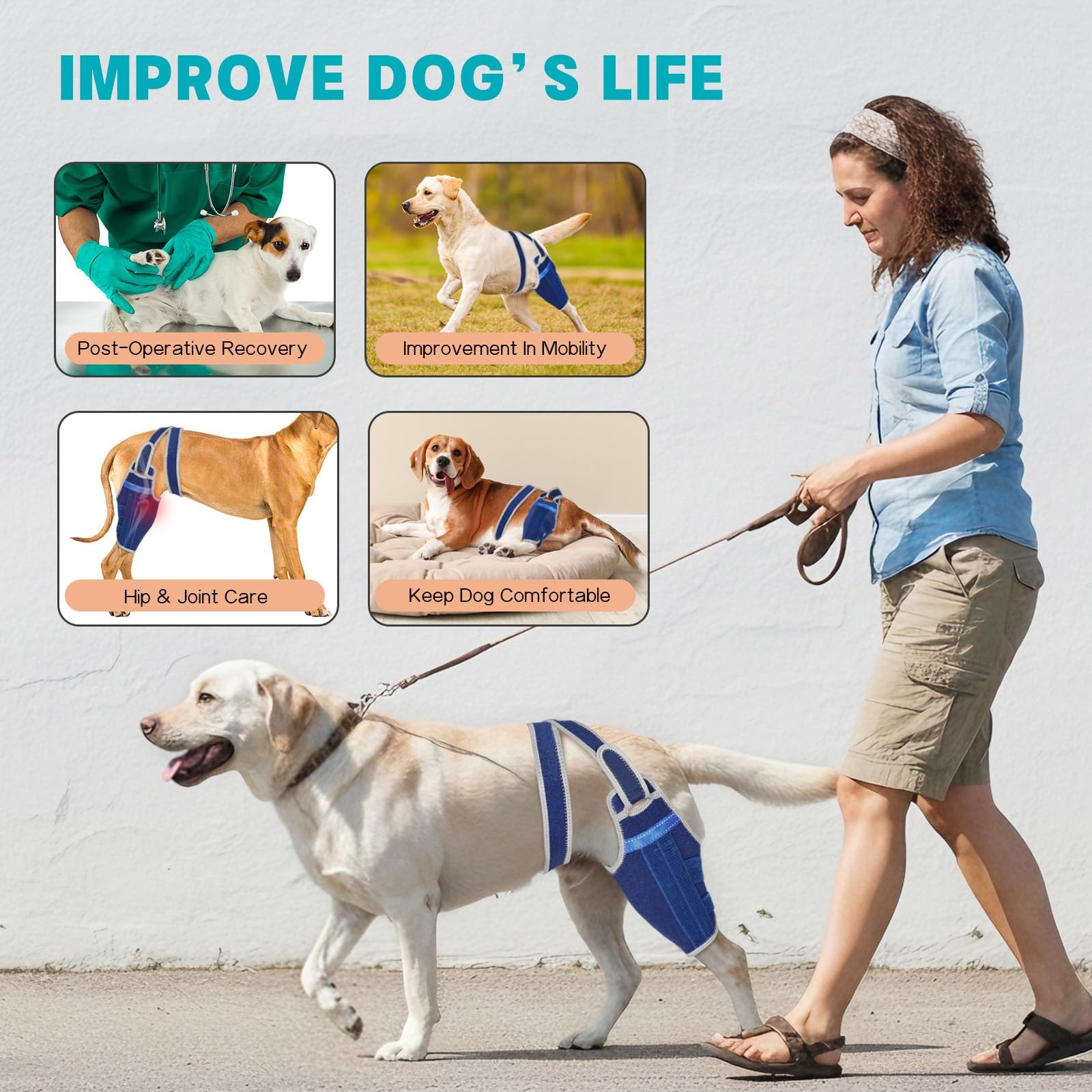 Dog Knee Brace for Torn ACL Hind Leg Adjustable with 2 Stabilizers Support | …