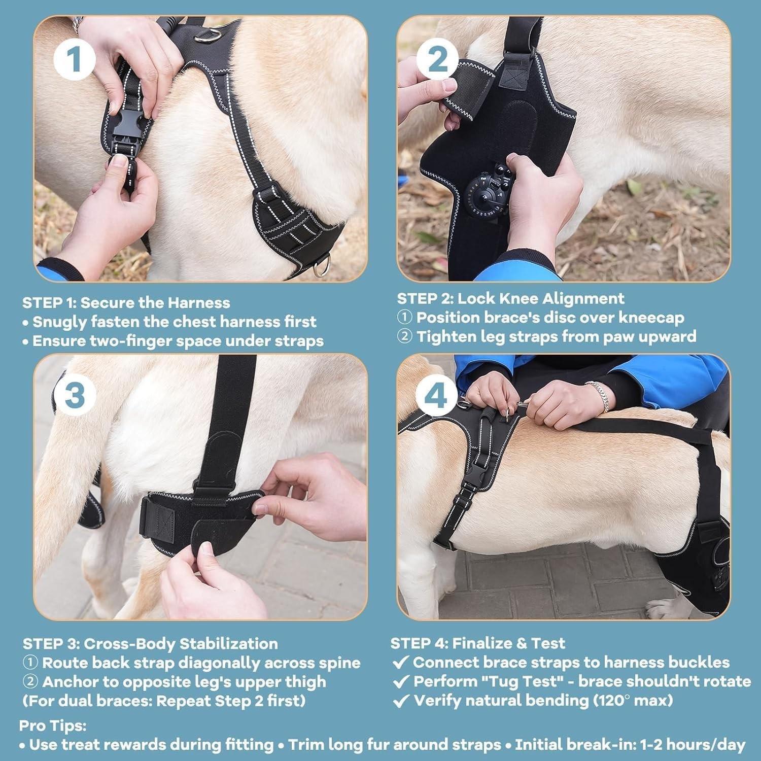 Dog Knee Brace with Adjustable Support ACL & CCL Tear Recovery Rear Leg Left M
