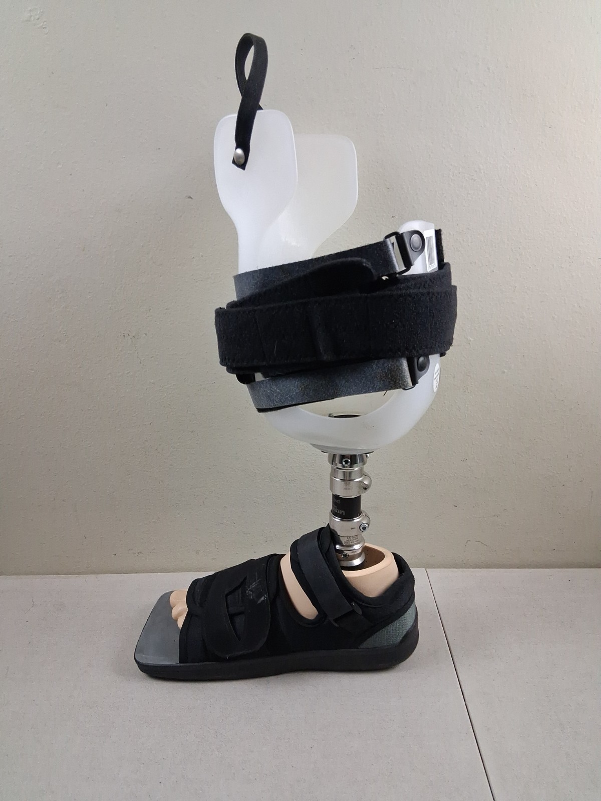 Transtibial Prosthetic Leg Assembly Left Flo Tech O & P APC Coupling Sz 10 Foot