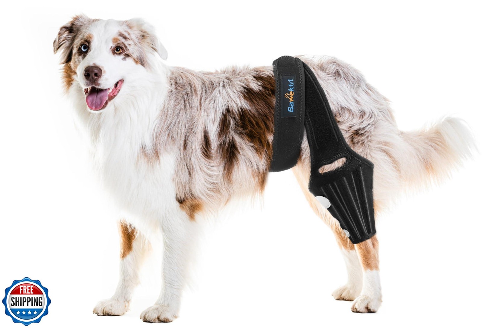Dog Knee Brace for Back Leg,Cruciate Ligament Care Knee Brace for Dogs Rear L
