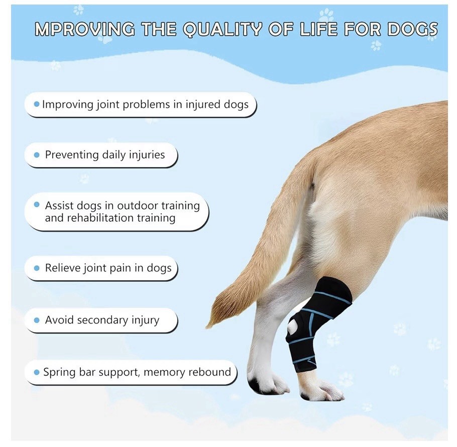 Dog Knee Brace Medium ACL Support Pet Leg Wrap Recovery Arthritis M