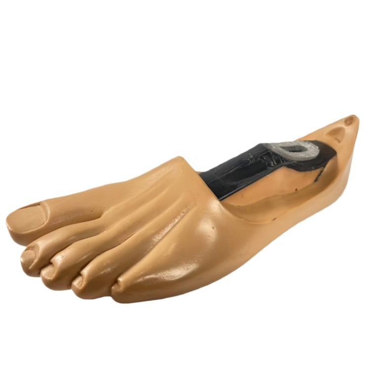 Carbon Fiber Prosthetic Foot 22-28cm Multi-flex Design Energy Return