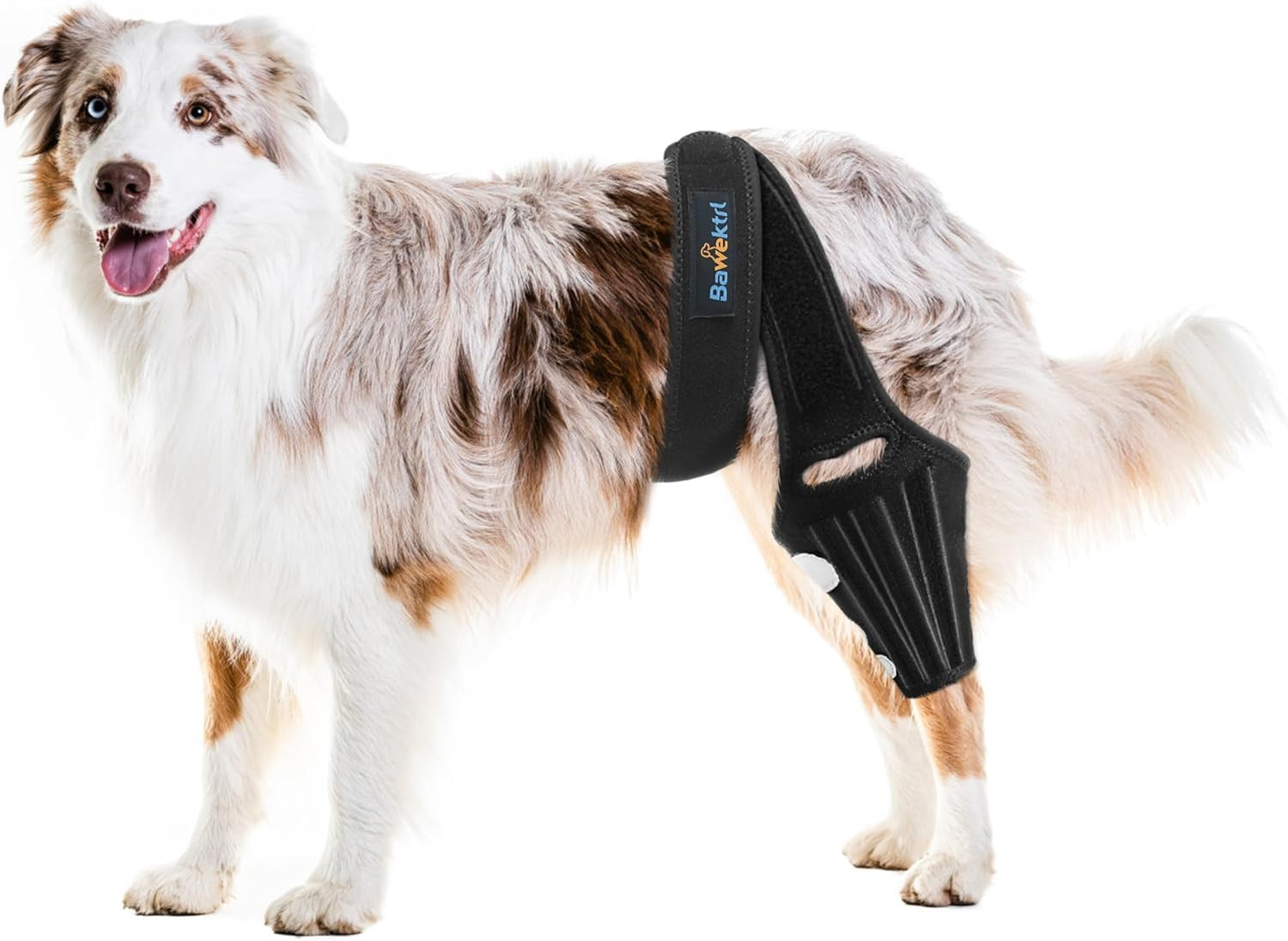 Dog Knee Brace for Back Leg,Cruciate Ligament Care Knee Brace for Dogs Rear Leg,