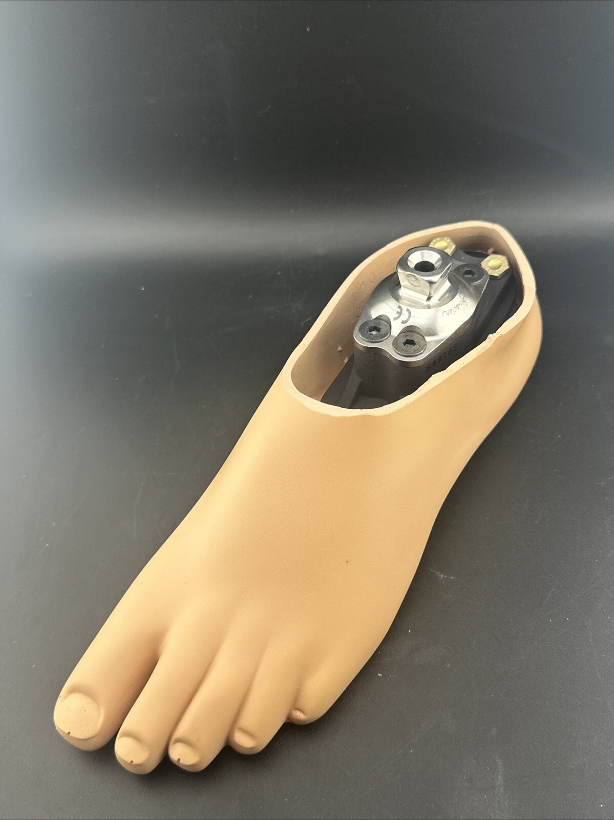 College Park Tres Prosthetic Foot. Left Foot. Size 25. Read