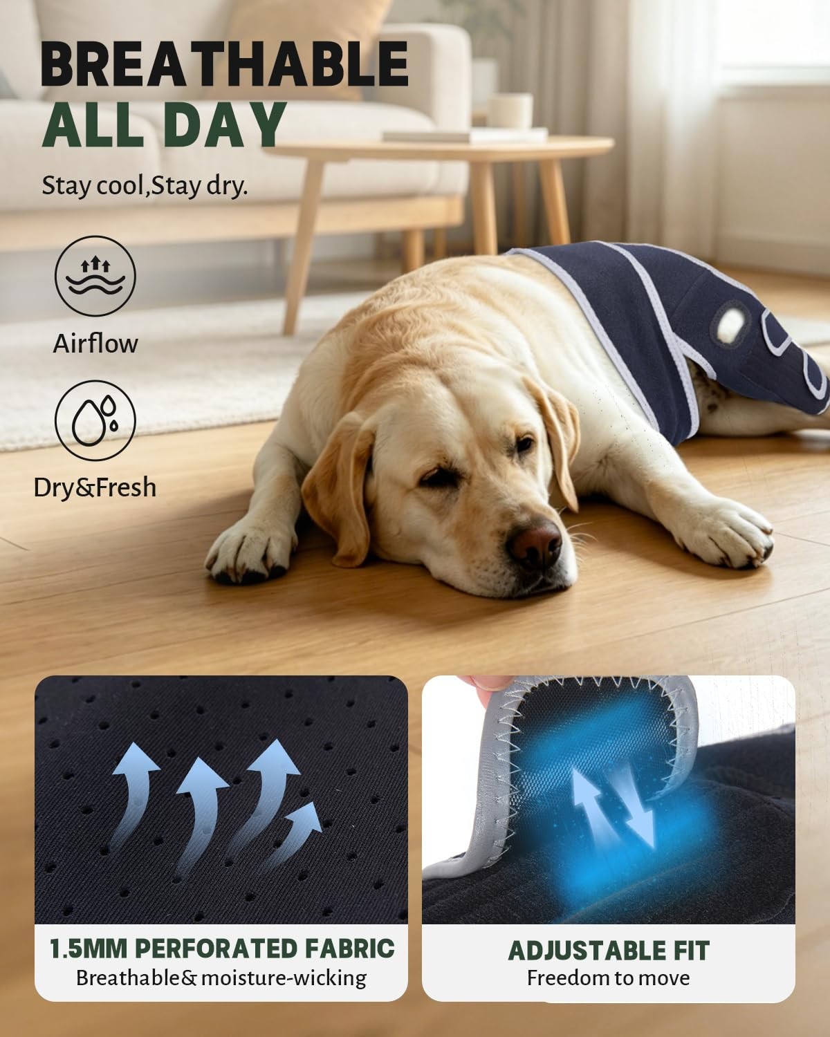 Moysoon Dog Knee Brace Left Hind Leg XS