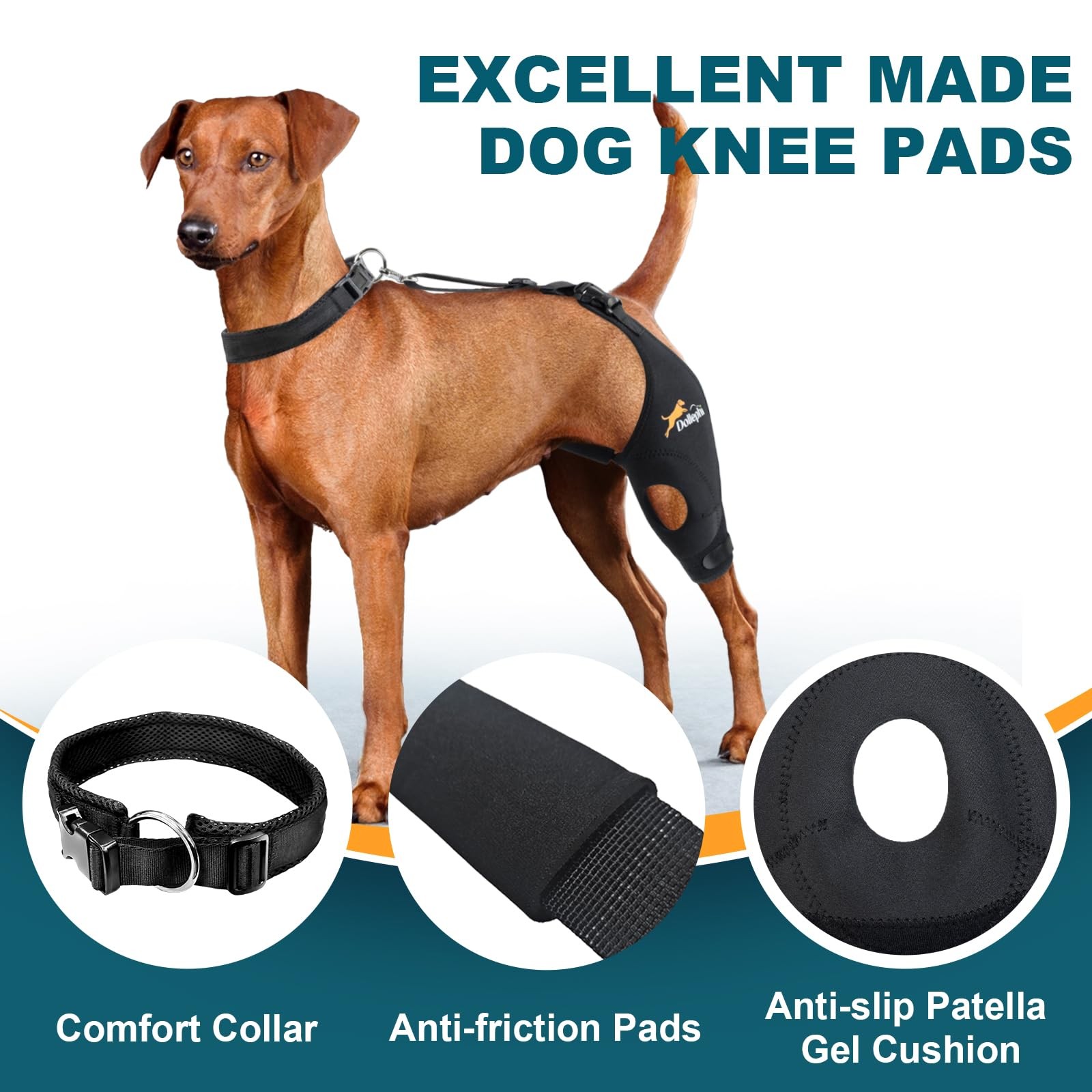 Dollephi Dog Knee Brace for Torn ACL Hind Leg, Patent Pending(Left Leg,S) | S…