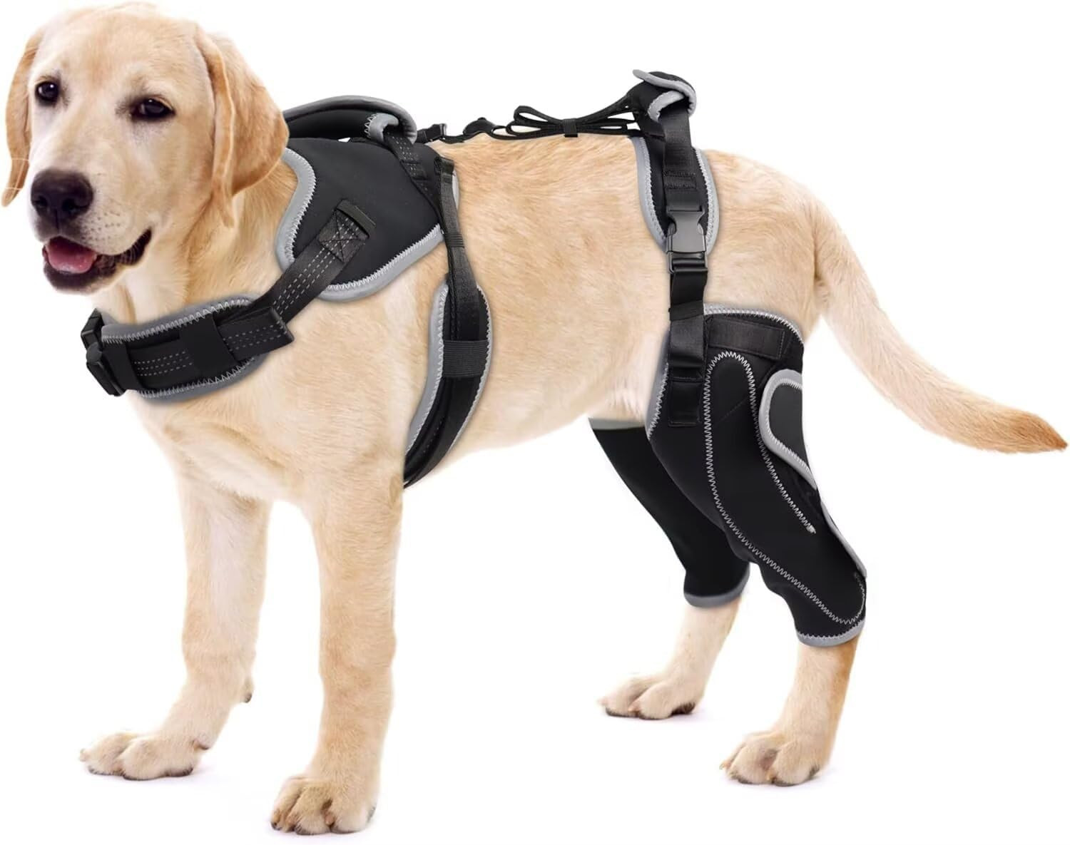 Adjustable Knee Brace for Dogs Back Leg, Hinged Dog Knee Brace for Torn ACL Hind