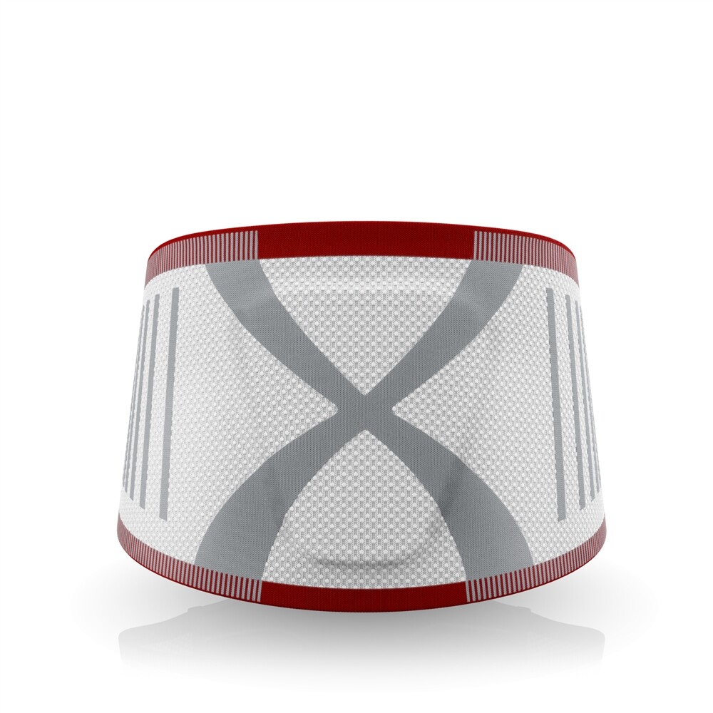 Actimov LumbaMotion Back Support with Pressure Pad
