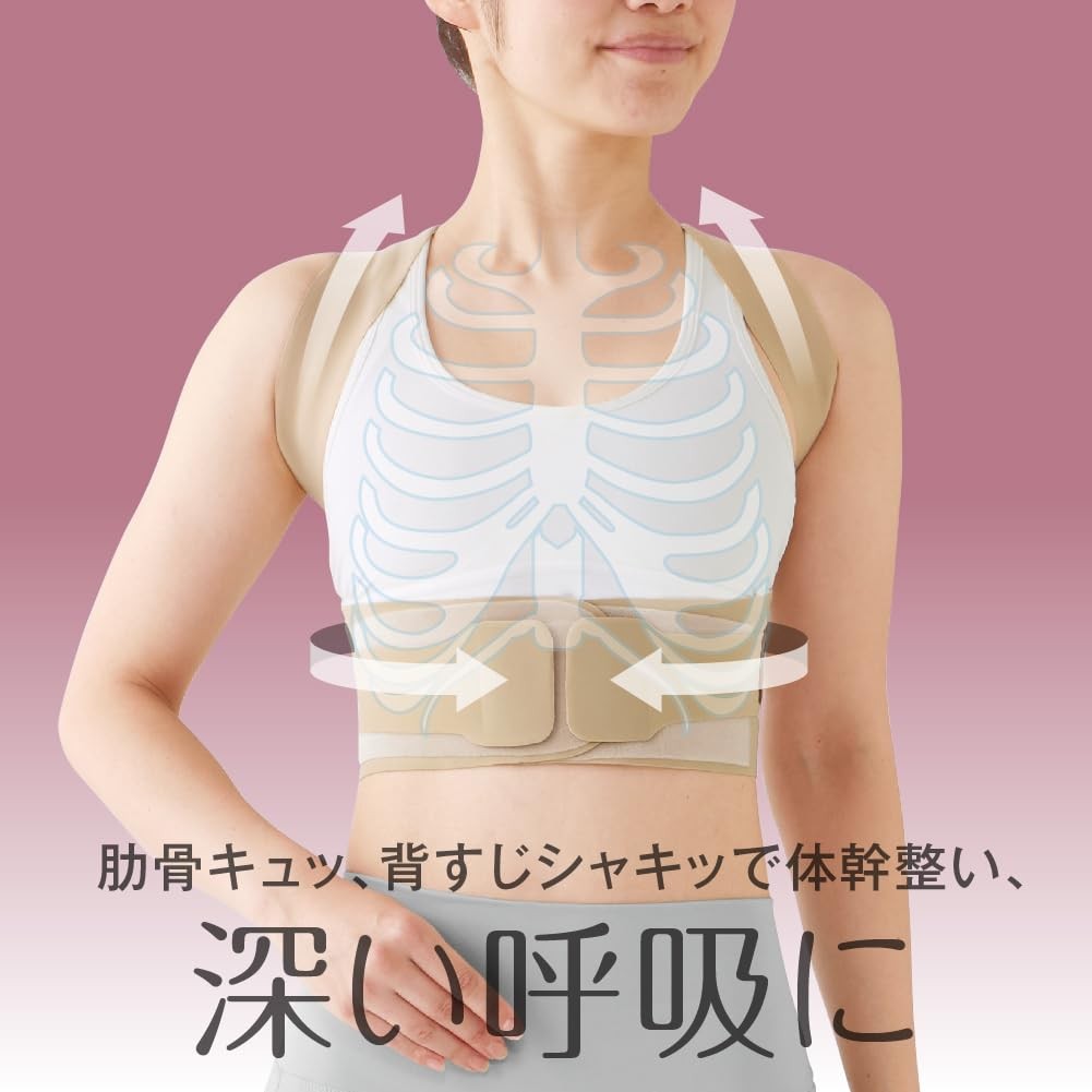 alfax Posture Belt, Core Posture Supporter, Pita Skin, L-LL